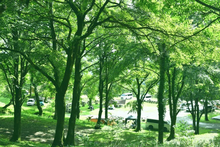 グリーンパークハチ北