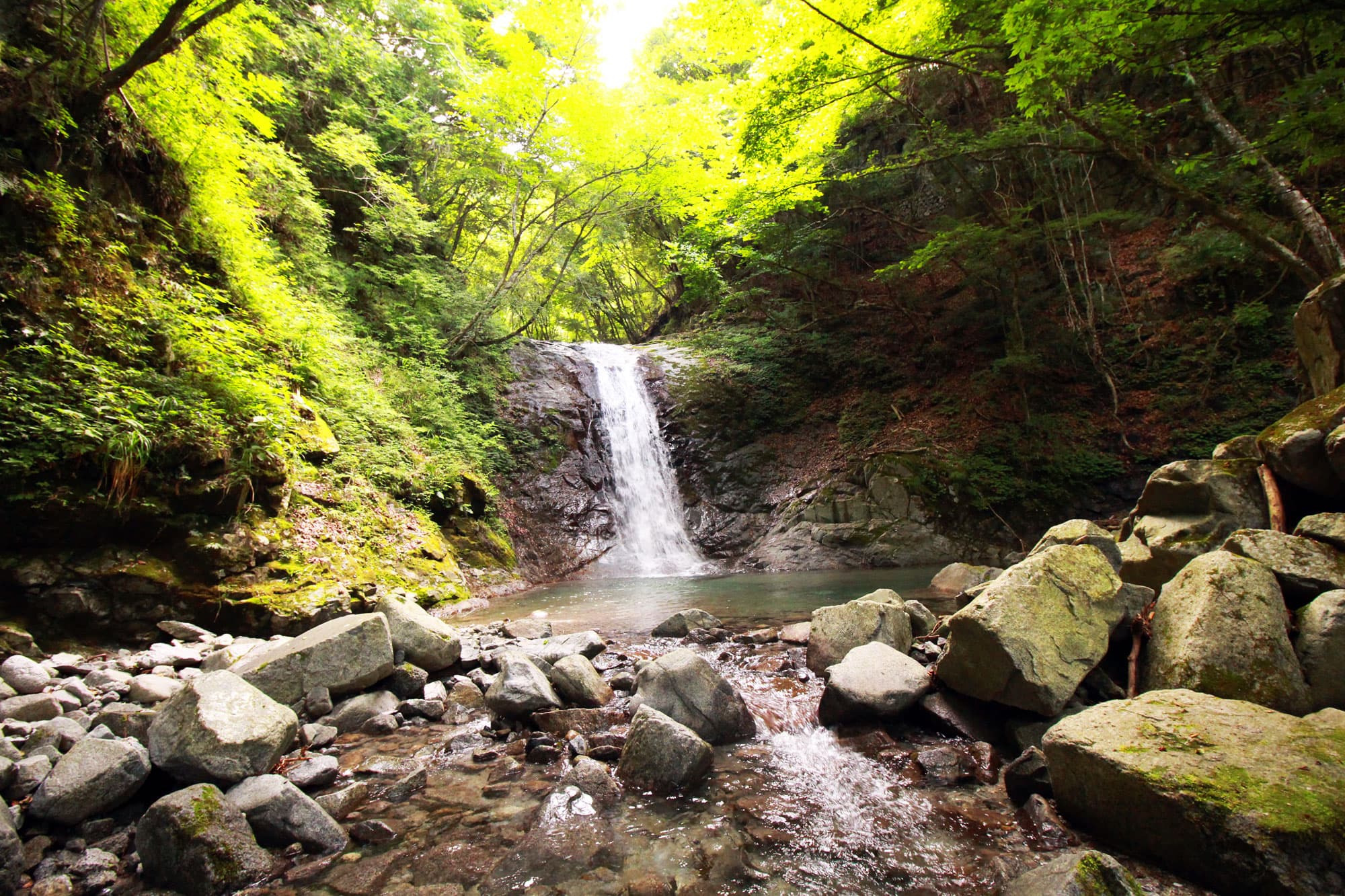 西丹沢 大滝キャンプ場